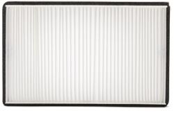 FLEETGUARD Filtru, aer habitaclu FLEETGUARD AF55861 (AF55861)