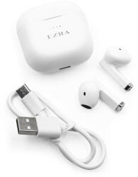 Ezra TW80