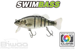 Biwaa SWIMBASS 6" SLOW SINK 15cm 65gr 51 Brazino (B001831) - plazaweb