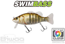 Biwaa SWIMBASS 6" SLOW SINK 15cm 65gr 12 Carassin (B001836) - plazaweb