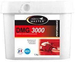 Horse Master DMG 3000 1, 3kg