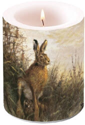 Ambiente AMB. 19114425 Portrait of Hare átvilágítós gyertya 12x10cm (8712159163629) - decorbolt