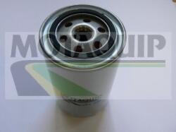 MOTAQUIP Filtru ulei MOTAQUIP VFL536 (VFL536) - automobilus