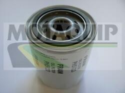 MOTAQUIP Filtru ulei MOTAQUIP VFL301 (VFL301) - automobilus
