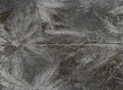 Tubadzin Sedona Palms 65,8x89,8 (2 db)