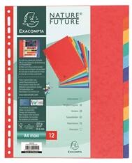Exacompta A4 12 részes színes karton elválasztólap (P2220-0170) - officedepot