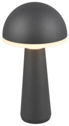 TRIO R57716142 Fungo kültéri asztali lámpa (R57716142) - lampaorias
