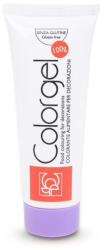 Modecor Colorant Alimentar Gel, Mov Modecor 100 gr (23134)