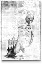  PontPöttyöző - Papagáj gyerekeknek Méret: 40x60cm, Keretezés: Műanyagtáblával, Szín: Fekete