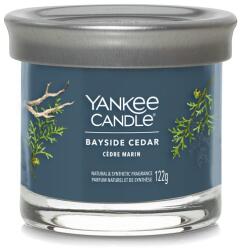 Yankee Candle Yankee Candle, Coastline Cedar, Lumânare în cilindru de sticlă 122 g (NW3499853)