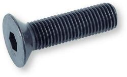  Sülyesztett fejű belső kulcsnyílású csavar M12*25