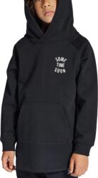 Hummel Hanorac cu gluga Hummel STSMONTEREY HOODIE 218820-2001 Marime 104