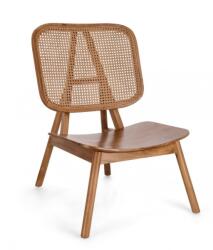 Bizzotto Fotoliu lemn rattan maro Yves 67x80x91.5 cm (0747157)