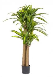 Bizzotto Dracena artificiala in ghiveci 110x150 cm (0172965)