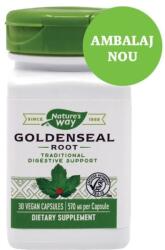 Nature's Way Goldenseal Root Nature's Way, 570 mg, 30 capsule, Secom