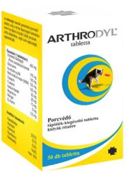 Primavet Kft Arthrodyl izületvédő tabletta kutyáknak 50db (TG-140996)