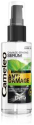 Delia Cosmetics Cameleo BB selymes hajszérum Argán olajjal 55 ml