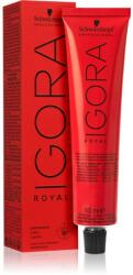 Schwarzkopf IGORA Royal hajfesték árnyalat 0-77 Copper Concentrate 60 ml