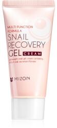 MIZON Multi Function Formula Snail arcgél csiga kivonattal 45 ml