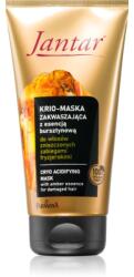 Farmona Natural Cosmetics Laboratory Jantar Amber Essence haj maszk a károsult hajra 200 ml