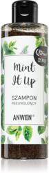 Anwen Mint It Up hámlasztó sampon 200 ml