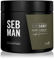 Sebastian Professional SEB MAN The Dandy hajpomádé a természetes fixálásért 75 ml