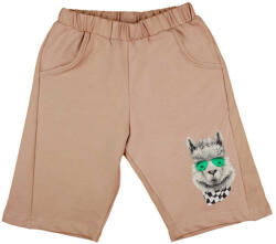 Asti Pamut fiú bermuda láma mintával