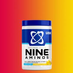 USN - Nine Aminos - Full Spectrum Bcaas & Eaas With Coconut Water Powder - 330 G - Pineapple