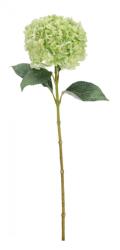 Bizzotto Set 12 Hortensii artificiale verzi 30x25x67 cm (0170634)