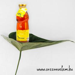  Prémium rostos Citrom gyümölcsszörp 500ml
