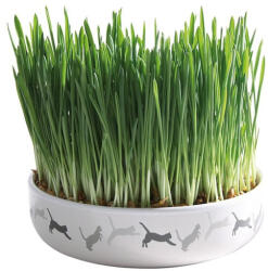 TRIXIE Bol Ceramica 15*45cm cu Seminte de Orz pentru Iarba 50g