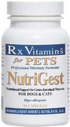 Rx Vitamins RX VITAMINS NutriGest, supliment sistem digestiv câini, capsule RX VITAMINS NutriGest, supliment sistem digestiv câini și pisici, flacon, 90 capsule