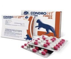  BIOIBERICA CondroVet Force HA Pisica, 45 comprimate