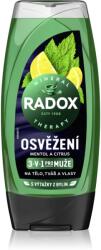 Radox Men Feel Strong tusfürdő gél és sampon 2 in 1 Mint & Tea Tree 225 ml