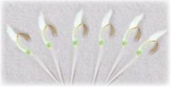 Lineaeffe Taparina Green Skin Gold nr. 6 (A.5639106)