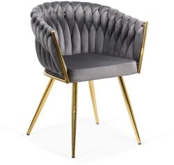  Scaun modern din catifea si cadrul auriu BUC 261 gri