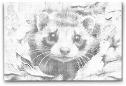  PontPöttyöző - Boldog vadászgörény Méret: 40x60cm, Keretezés: Keret nélkül (csak a vászon), Szín: Fekete