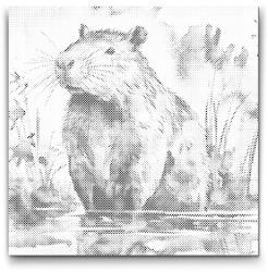 PontPöttyöző - Capybara 2 Méret: 50x50cm, Keretezés: Keret nélkül (csak a vászon), Szín: Fekete