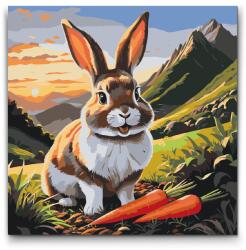  Festés számok szerint - Vidám nyuszi sárgarépával Méret: 50x50cm, Keretezés: Kartonlemezen