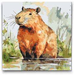  Festés számok szerint - Capybara 2 Méret: 50x50cm, Keretezés: Műanyagtáblával