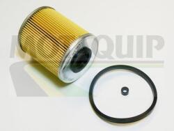 MOTAQUIP filtru combustibil MOTAQUIP VFF504 (VFF504) - automobilus