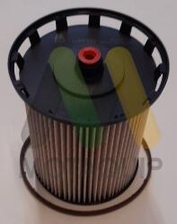 MOTAQUIP filtru combustibil MOTAQUIP LVFF832 (LVFF832) - automobilus