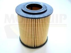MOTAQUIP Filtru ulei MOTAQUIP VFL496 (VFL496) - automobilus