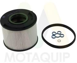 MOTAQUIP filtru combustibil MOTAQUIP LVFF703 (LVFF703) - automobilus