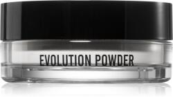Danessa Myricks Beauty Evolution Powder porpúder árnyalat 1 - Universal 11 g