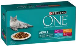ONE teljes értékű állateledel felnőtt macskák számára - csirke, marha, bárány, tengeri hal 2 x