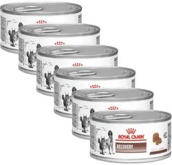 Royal Canin Royal Canin Veterinary Diet Recovery Feline/Canine Can 6 x 195 g