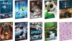 T-Creativ Gumismappa T-Creativ A/4 mintás (D090040A4)