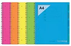  Orna Pro PP A4 120 lapos vonalas vegyes színű spirálfüzet (ARD0235FLU) - officedepot
