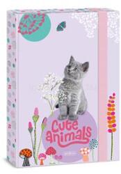 Ars Una Cute Animals-Kitten 24 (5368) A4 füzetbox (ARS_UNA_50853687) (ARS_UNA_50853687)